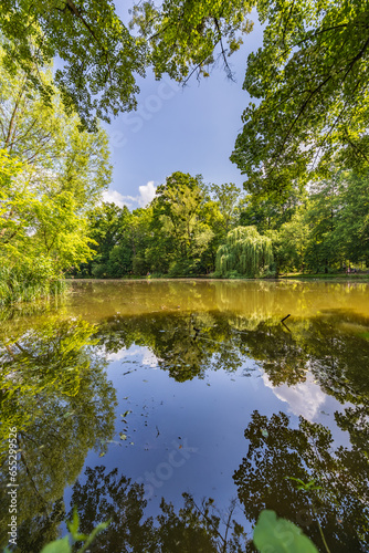 Beautiful and colorful park at sunny morning with blue sky with few clouds beautifully reflecting in big silent lake like in mirror photo