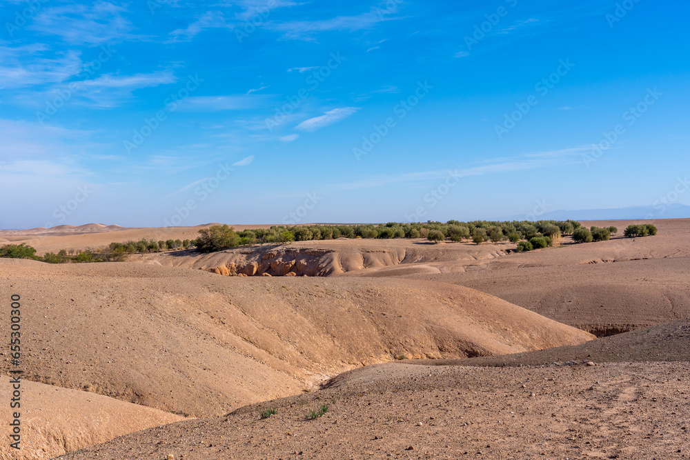 Morocco, desertic landscape in Agafay near Marrakech. 
Oasis plantation  in  the background.