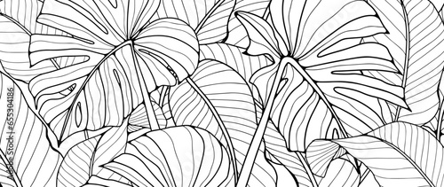 Black and white tropical background with monstera leaves and banana leaves. Tropical background for coloring, creating various designs and patterns. Silhouette of tropical leaves.