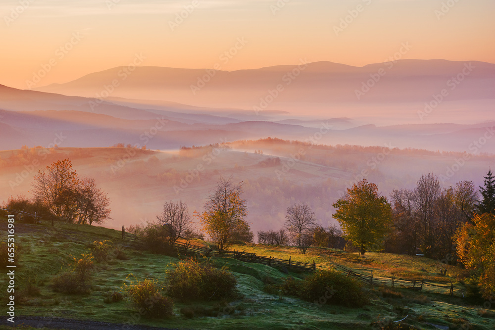 beautiful countryside landscape at sunrise. trees and rural fields on the hills. fog in the distant valley. mountainous autumnal scenery in morning light. misty atmosphere