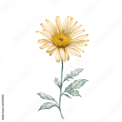 watercolor painting of Gold flowers, flower isolated on transparent background, extracted