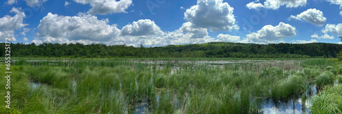 Hennicke Marsh in Huyck Preserve, Rensselaerville, New York