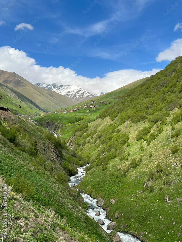 Landscape of Small Stream in Juta Gerogia in Summer