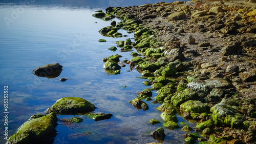 Rocky Shore of the Tiligul Estuary with algae emerging from under the water during the drying out of the estuary