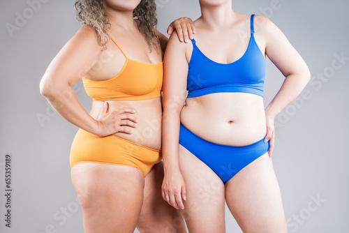 Two overweight women with fat flabby bellies, legs, hands, hips and buttocks on gray background, plastic surgery and body positive concept