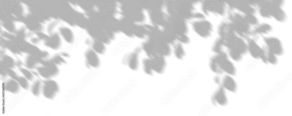 Soft shadow shade tree branches leafs cutout on transparent backgrounds 3d rendering png Soft shadow shade tree branches leafs cutout on transparent backgrounds 3d rendering png