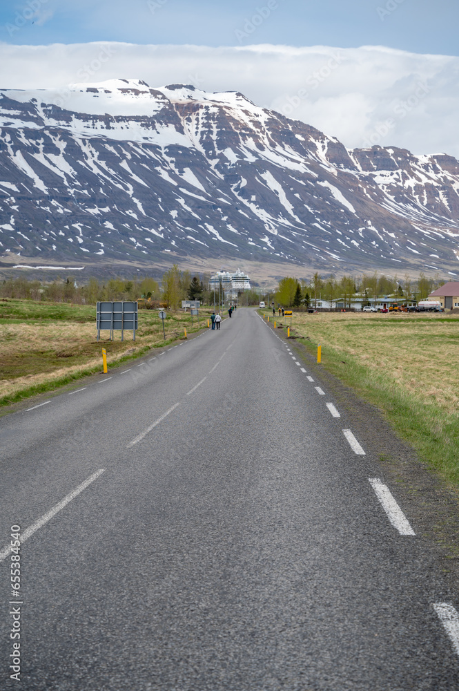 Road to Seydisfjordur, Iceland with snow mountain in the background, vertical shot