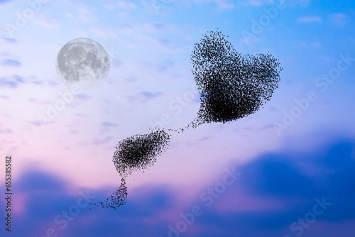 Birds formed in the shape of a heart. Sunset nature background.