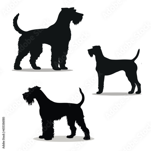 Airedale Terrier silhouettes and icons. black flat color simple elegant Airedale Terrier animal vector and illustration.