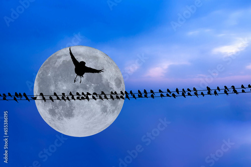 Full moon landscape and birds. A bird that decides to fly in a flock. Sunset nature background.