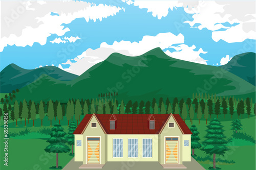 View of a beautiful house with pine trees behind it