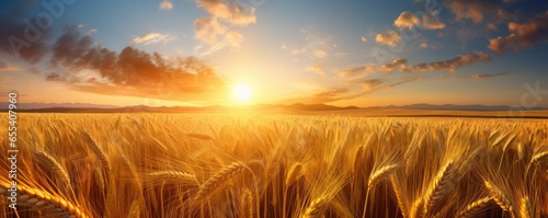 Close up view on wheat field with golden sunset light during sunny day, panorama banner. Generative Ai.
