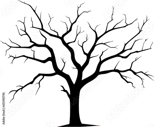 Fototapeta Naklejka Na Ścianę i Meble -  Leafless Tree, Dead Tree, Dry Tree, Trunk, Branches, and Root. Vector illustration
