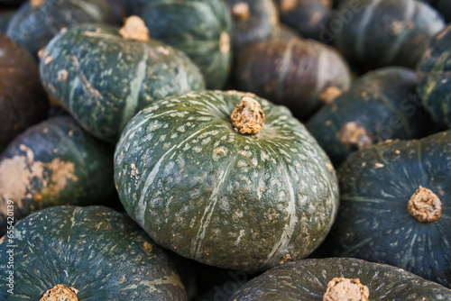 Sweet mama pumpkin on the farmers market
