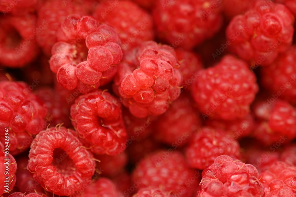 red raspberries close-up, macro juicy ripe raspberries red raspberries close-up, macro juicy ripe raspberries