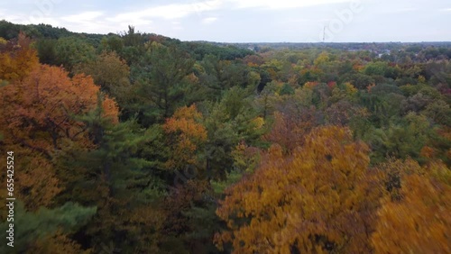 Drone flying into forest showing fall foliage