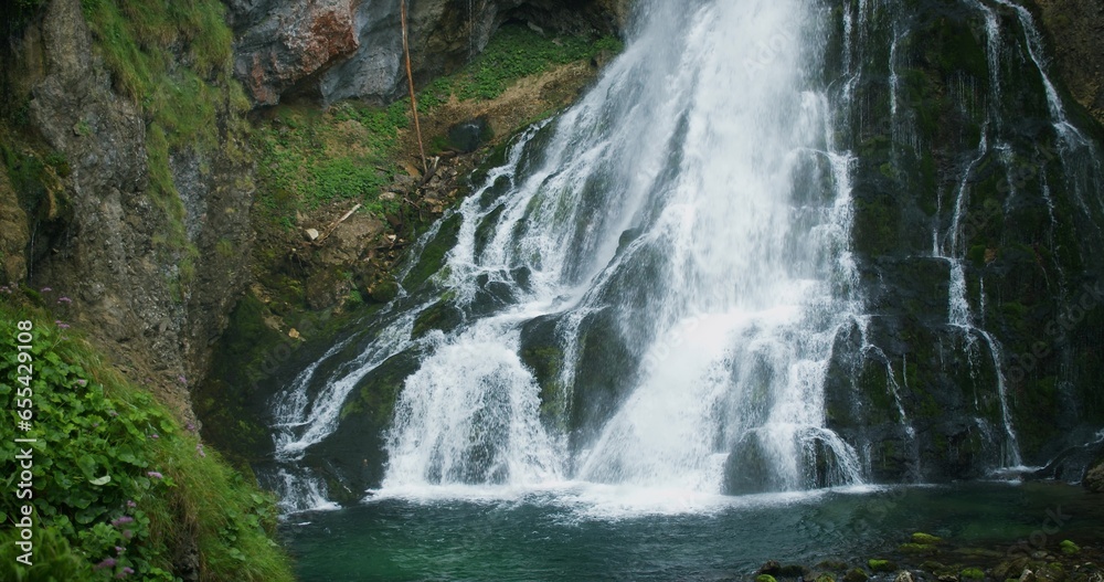 Powerful stream in green coniferous forest with fir trees. Full-flowing mountain waterfall in Alps. Gollinger Wasserfall in Austria.