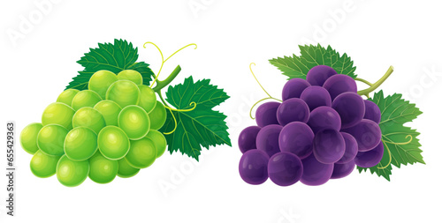 Grape vector illustration isolated on white background.