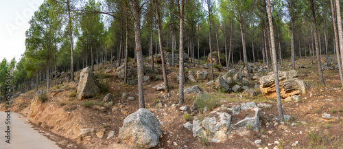 Panoramic view of a forest with rock formations next to the road, some looking like a menhir, on La Muela mountain in Rincón de Ademuz on the Iberian Peninsula photo