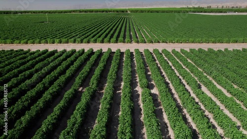 Aerial view of farms Coachella Valley