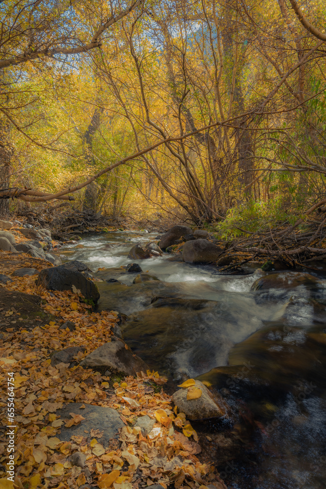 Fall in the Eastern Sierra Nevada, California