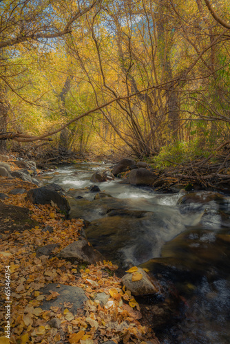 Fall in the Eastern Sierra Nevada  California