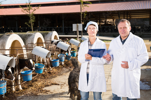 Portrait of couple quality experts who are standing at the cow farm.