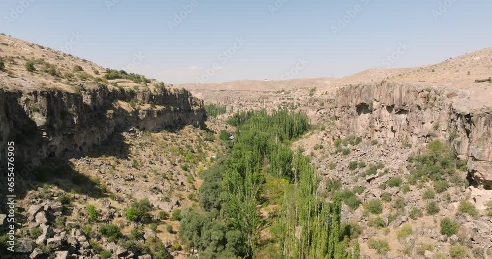 Bird's-eye view, a verdant carpet of trees covers the valley bottom in Turkey Bird's-eye view, a verdant carpet of trees covers the valley bottom in Turkey
