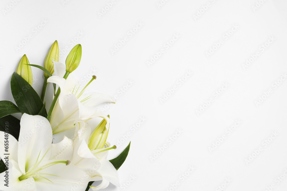 Beautiful lily flowers on white background, flat lay. Space for text - obrazy, fototapety, plakaty 