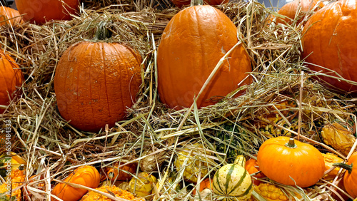 Foto Calabazas gigantes tradicionales de halloween