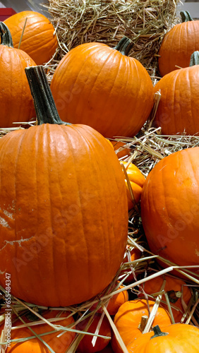 Calabazas gigantes tradicionales de halloween photo