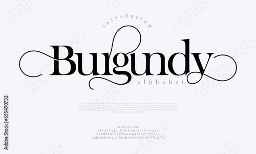 Burgundy premium luxury elegant alphabet letters and numbers. Elegant wedding typography classic serif font decorative vintage retro. Creative vector illustration