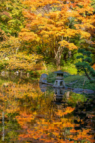 Fall colors of Japanese Garden