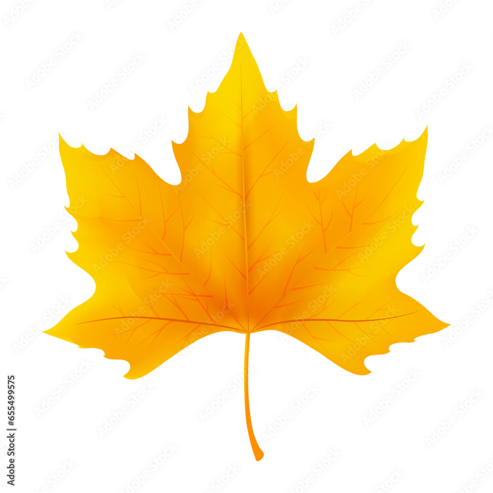 Vector illustration of leaf isolated on white background