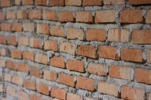 House building walls are made of red brick and cement, villagers more commonly use red brick walls.

