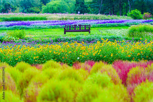 滝野すずらん公園の風景