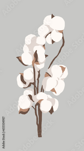 Illustration of a leaf of a cotton plant. Cotton and cheesecloth are made using the hairs produced when the seeds bear fruit.