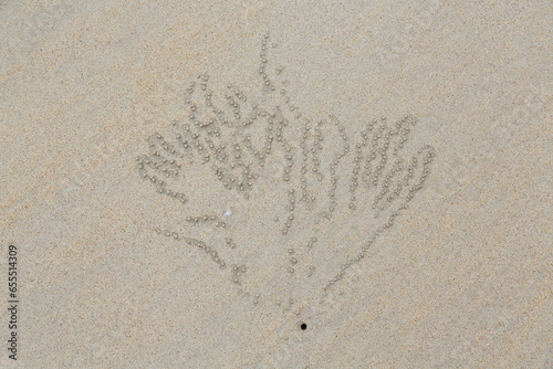 Patterns in the sand on Ninety Mile Beach made by tiny sand crabs rolling sand into miniature balls.  Western Australia.  