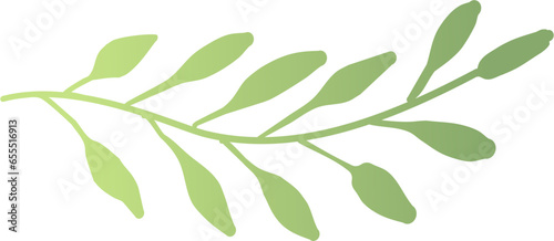 Vector Illustration Green Leaves