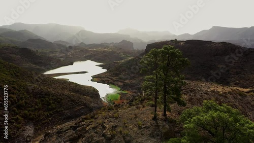 Tall pine trees overlooking hazy Las Ninas lake valley, Gran Canaria. photo