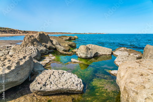 Rocky seashore covered with green algae