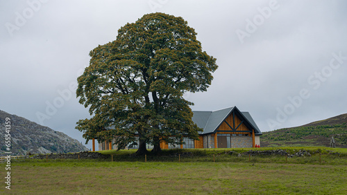 A country mansion with a modern design in the tranquillity of the highlands