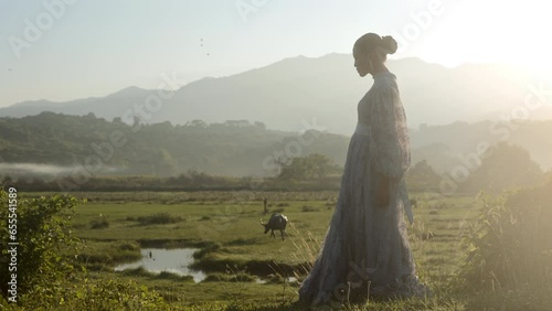 Sheer-dressed Lady Walking On Field At Sunrise photo
