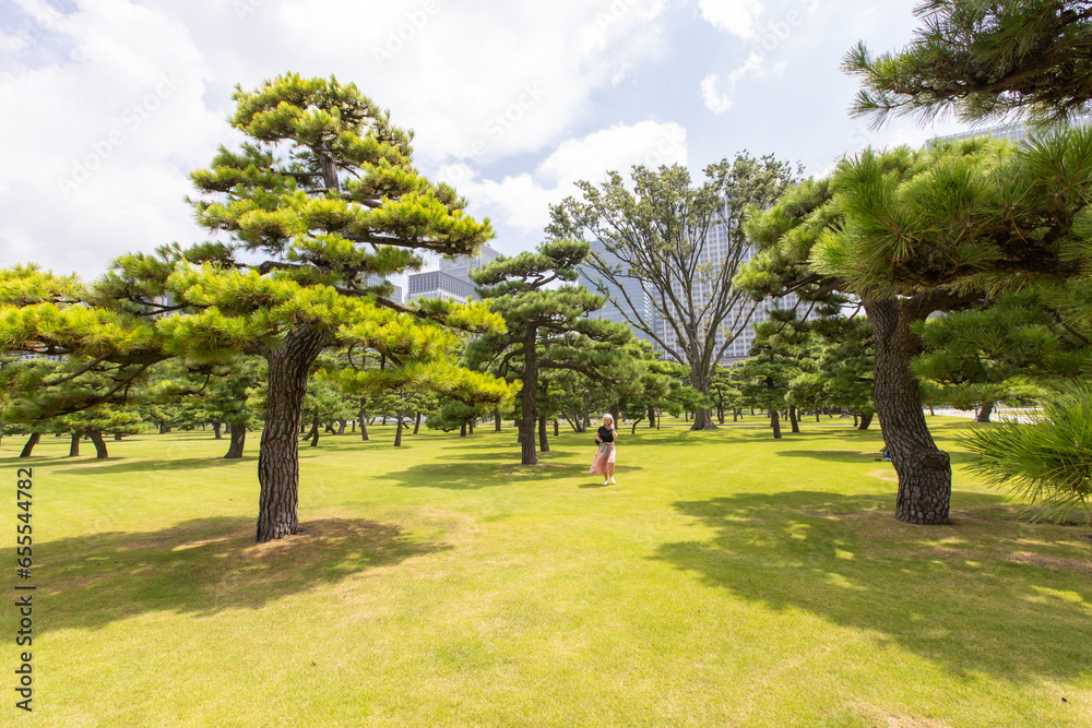 Jardin du palais impérial de Tokyo au Japon Jardin du palais impérial de Tokyo au Japon