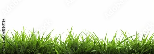 Hi Resolution image of Fresh green grass isolated against a white background, Generative AI