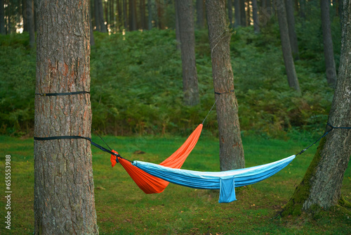 Hammock in the woods. Forest Retreat. Where Relaxation Meets Outdoors.