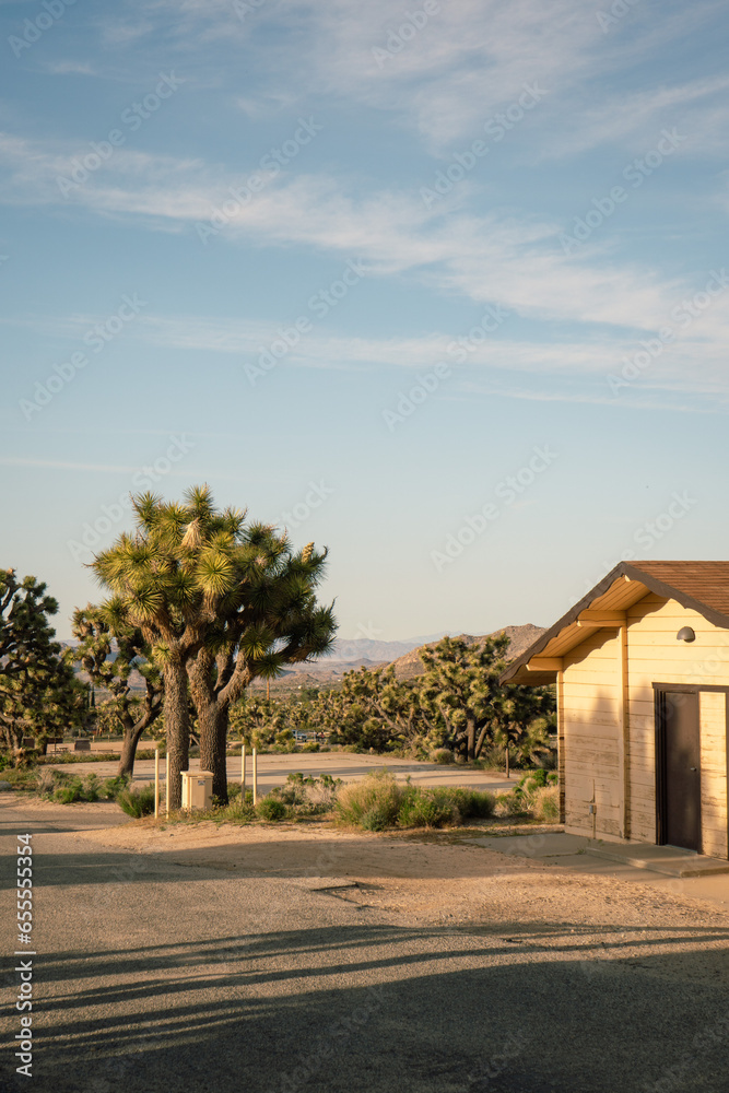 Joshua Tree National Park, Ranger Station Joshua Tree National Park, Ranger Station