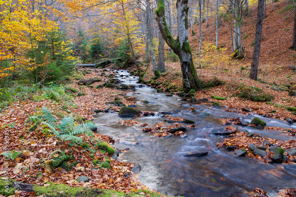 Waterfall in a beech forest in autumn. Eastern Carpathians.