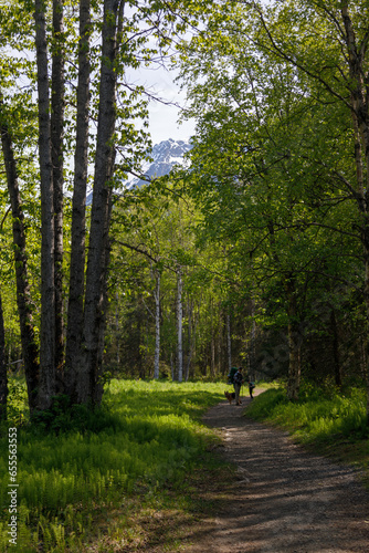 Father, child and dog on winding trail in the mountains