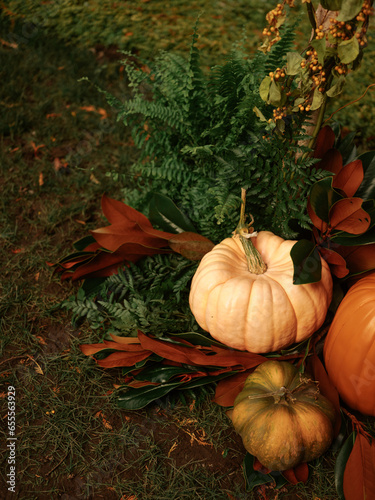 Outdoor assortment of pumpkins and gourds  rustic autumnal decor